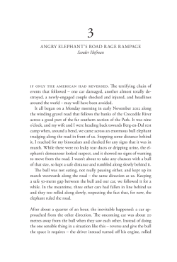 Angry Elephant`s Road Rage Rampage