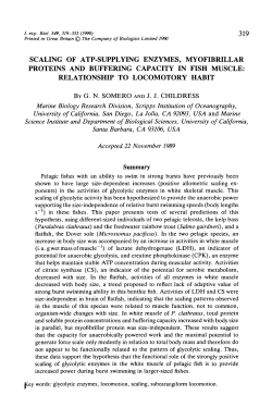 Scaling - The Company of Biologists