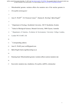 Mitochondrial genome variation affects the mutation rate of
