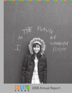 2008 Report - Spark Program