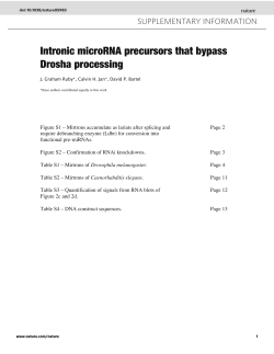 Intronic microRNA precursors that bypass Drosha