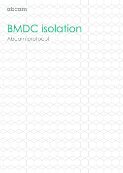BMDC isolation