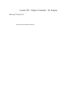 Preview &ndash; 2/20 &ndash; Dr