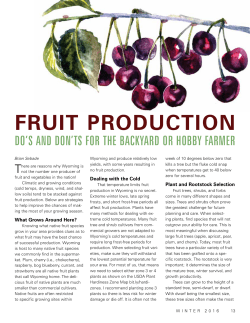 fruit production - University of Wyoming
