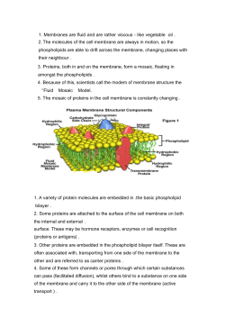 Fluid mosaic model of cell membranes File
