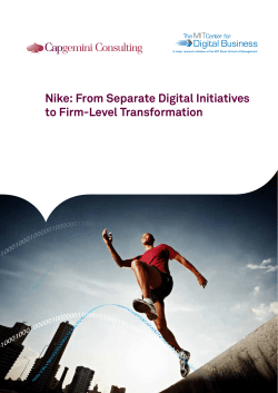 Nike - Capgemini Consulting