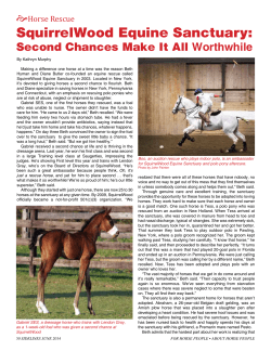 SquirrelWood Equine Sanctuary: