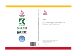 Functional Cellulose Microspheres For Pharmaceutical