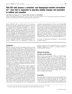 HEK-293 cells possess a carbachol- and
