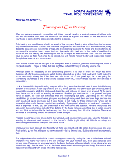 Training and Conditioning