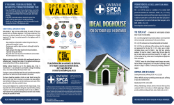 Ideal Doghouse&mdash;Ontario SPCA