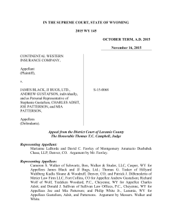 in the supreme court, state of wyoming