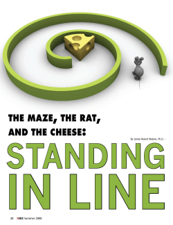 The maze, the rat, and the cheese: Standing in Line