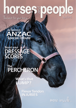 flexor tendon injury article