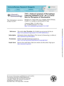 Role for Disruption of Mitochondria B: A Central &kappa; Following