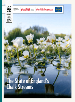 The State of England`s Chalk Streams