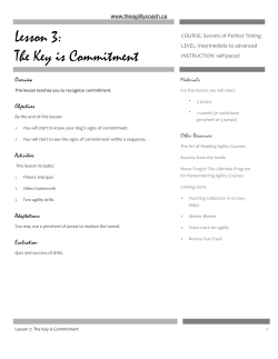 Lesson 3: The Key is Commitment