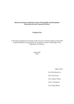 Molecular Dynamics Simulations Study of Hydrophilic and