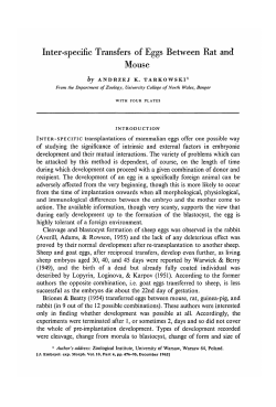 Inter-specific Transfers of Eggs Between Rat and
