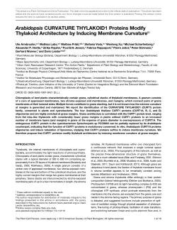 Arabidopsis CURVATURE THYLAKOID1 Proteins