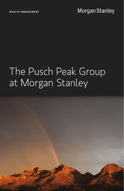 The Pusch Peak Group - Morgan Stanley Locator