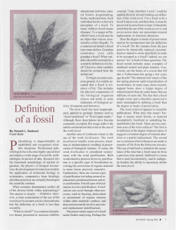 Definition of a fossil