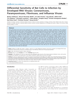 Diffential sensitivity of bat cells