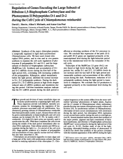 Regulation of Genes Encoding the Large Subunit of Ribulose