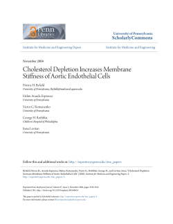 Cholesterol Depletion Increases Membrane Stiffness of Aortic