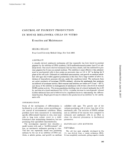 CONTROL OF PIGMENT PRODUCTION IN MOUSE MELANOMA