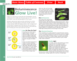 Chapter 25 Connection: Bioluminescence: Glow Live!