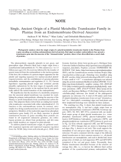 Single, Ancient Origin of a Plastid Metabolite Translocator Family in