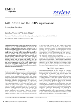 JAB1/CSN5 and the COP9 signalosome
