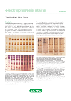 electrophoresis stains - Bio-Rad
