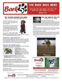 to the Newsletter PDF!