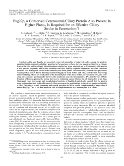 Bug22p, a Conserved Centrosomal/Ciliary Protein Also
