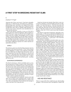 a first step in breeding resistant elms