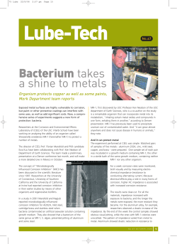 Bacterium takes a shine to metals - Lube