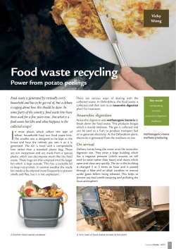 Food waste recycling