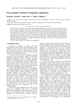 Porous Bioglass Scaffold for Orthopedics