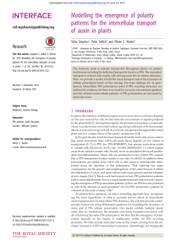 Modelling the emergence of polarity patterns for the intercellular