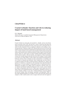 CHAPTER 4 Coastal wetlands: function and role in reducing