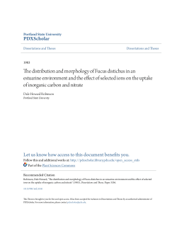 The distribution and morphology of Fucus distichus in