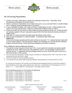 Paperwhite Planting Instructions