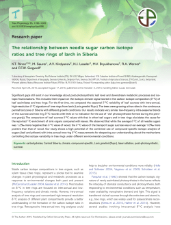 The relationship between needle sugar carbon