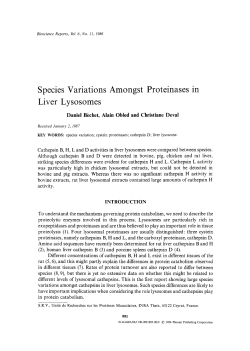 Species variations amongst proteinases in liver lysosomes