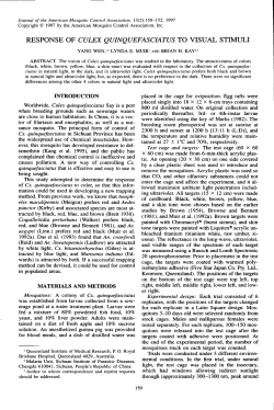 RESPONSE OF CULEX QUINQUEFASCIATUS TO VISUAL STIMULI