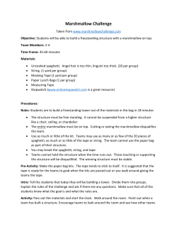 Marshmallow Challenge - Arizona MESA