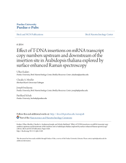 Effect of T-DNA insertions on mRNA transcript copy numbers
