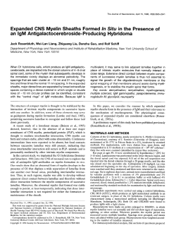 Expanded CNS Myelin Sheaths Formed ln Situ in the Presence of
